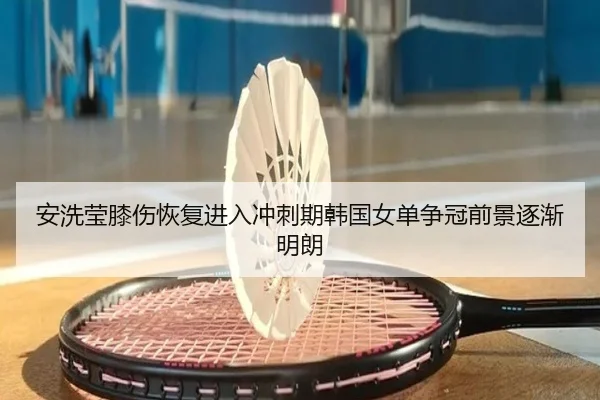 安洗莹膝伤恢复进入冲刺期韩国女单争冠前景逐渐明朗
