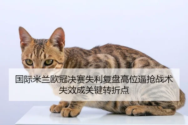 国际米兰欧冠决赛失利复盘高位逼抢战术失效成关键转折点