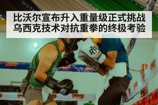 比沃尔宣布升入重量级正式挑战乌西克技术对抗重拳的终极考验